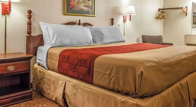 Номер Standard Econo Lodge Douglassville-Pottstown