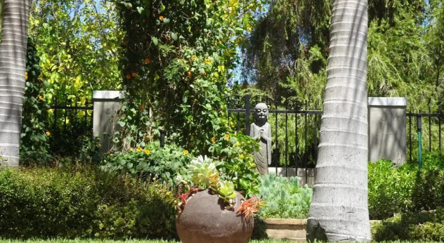 Двухместный номер Standard с видом на парк African Palm Cottage and Guesthouse