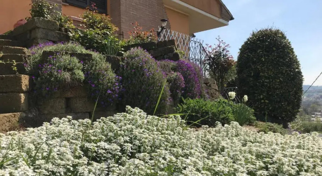 La Mammola Bed&Breakfast, Rezervovat Hotel Fabriano 