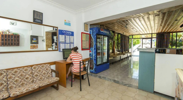 Butterfly Studios