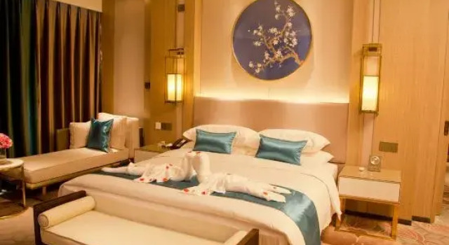 Люкс Xinzheng Xingangwanhua Hotel