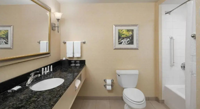 Номер Standard Spartanburg Marriott