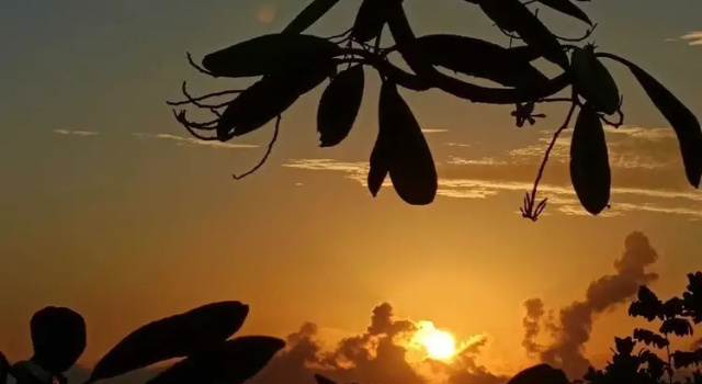 Номер Superior с балконом Hotel Nature Lodge Finca los Caballos