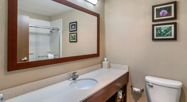 Двухместный люкс Comfort Inn & Suites Junction City - near Fort Riley