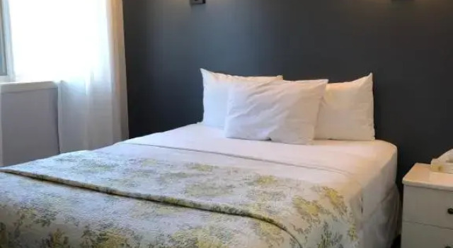 Двухместный номер Standard с видом на сад Hotel Le Pionnier