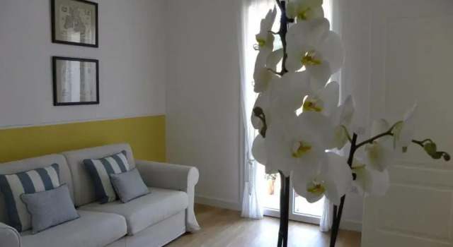 Полулюкс Deluxe B&B Villa Celeste