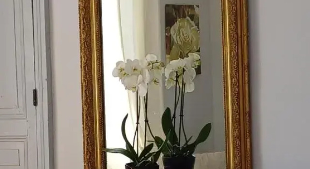 Номер Standard Le Jardin des Lys