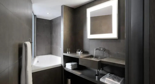 Люкс с видом на реку Novotel Lyon Centre-Confluence Bord de Saone