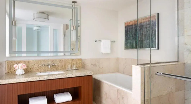 Двухместный номер с видом на город Four Seasons St. Louis