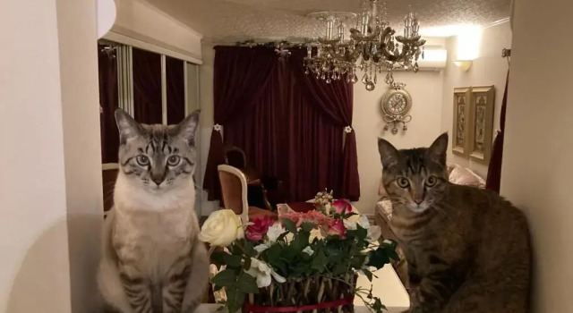 Коттедж Otsu - House / Vacation STAY 2968