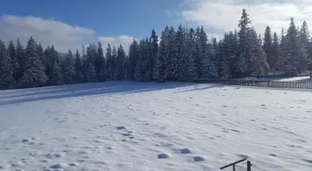 Leśne Zacisze, Book Hotel Murzasichle Tatras