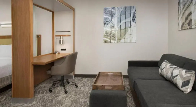 Двухместный номер Standard Springhill Suites by Marriott Jackson North/Ridgeland