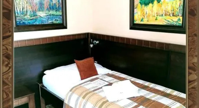 Standart tek kişilik oda Hotel David
