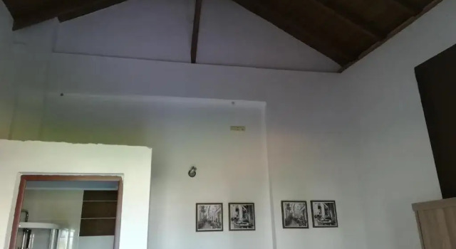 Студия Palmyra Studios