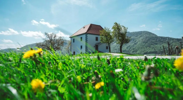 Wine Growers Mansion Zlati Gric, Buchen Sie Hotel Slovenske Konjice Rogla