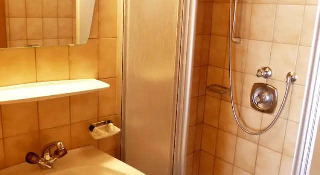 Двухместный номер Standard с видом на горы Hotel Eckartauerhof