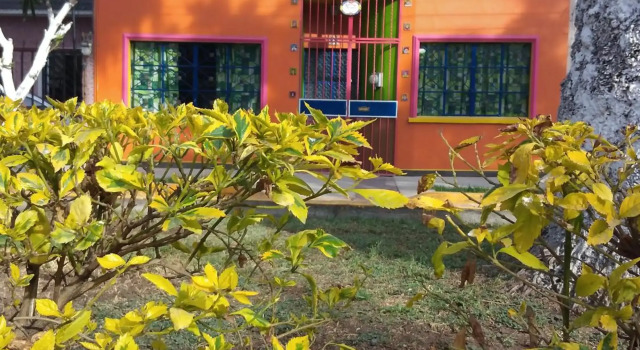 La Frida Casa Mexicana Lila 2o piso, Prenota Hotel Città del Messico Messico Distretto Federale