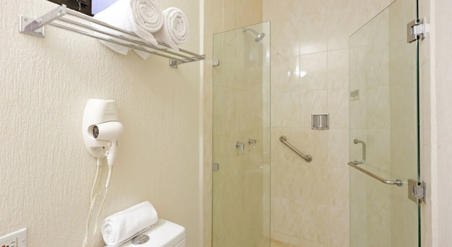 Номер Executive Hotel Olmeca Plaza