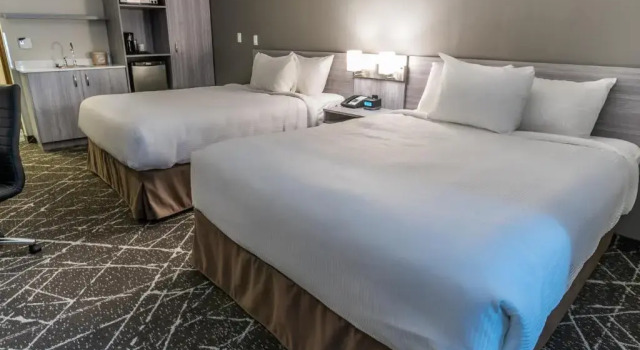 Четырёхместный номер Business Microtel Inn & Suites by Wyndham Lloydminster