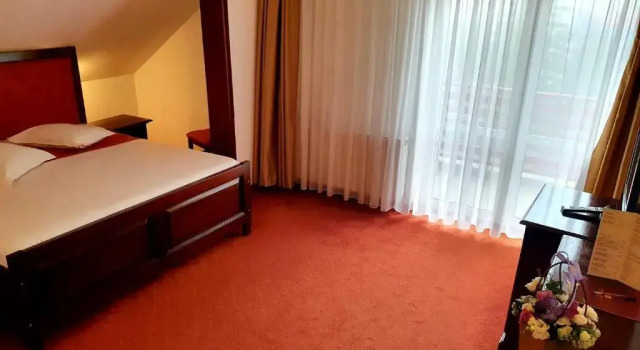 Двухместный номер Superior Hotel Piatra Mare