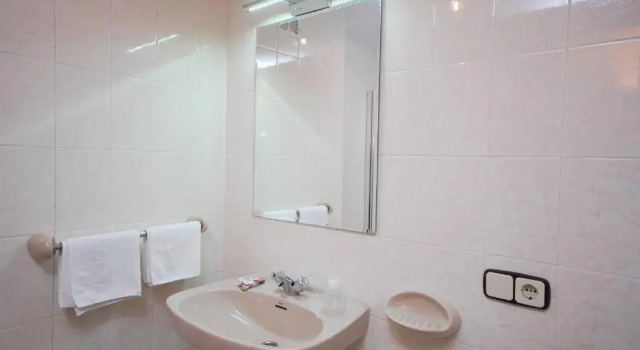 Трёхместный номер Standard Hotel Principado De Europa