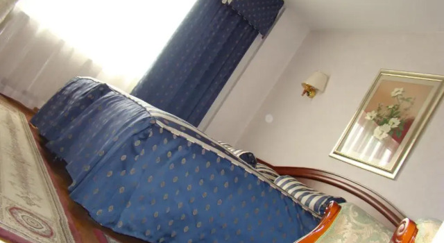 Номер Standard Hotel Vila Ariston