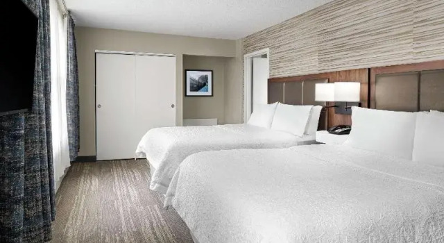 Люкс c 1 комнатой Hampton Inn & Suites Chicago-Downtown