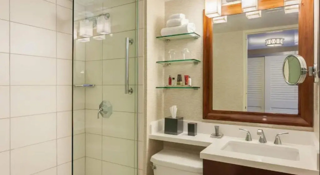 Номер Standard Tampa Airport Marriott