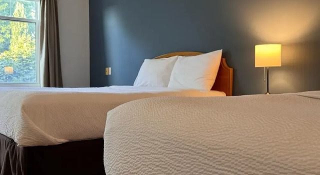Люкс Superior Stone Willow Inn