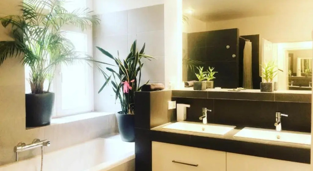 Полулюкс Apartment in Pempelfort - Central