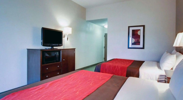 Четырёхместный номер Standard Comfort Inn & Suites Moss Point Pascagoula