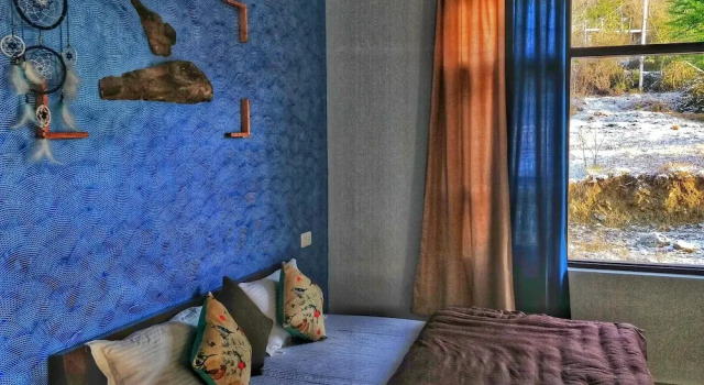 The Bunker Hostel - Dharamkot