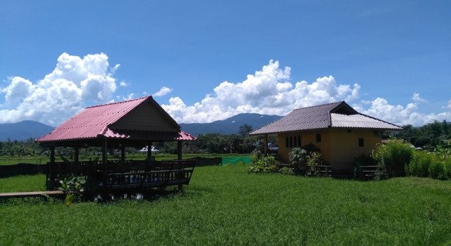 Двухместное бунгало Superior Country Retreat