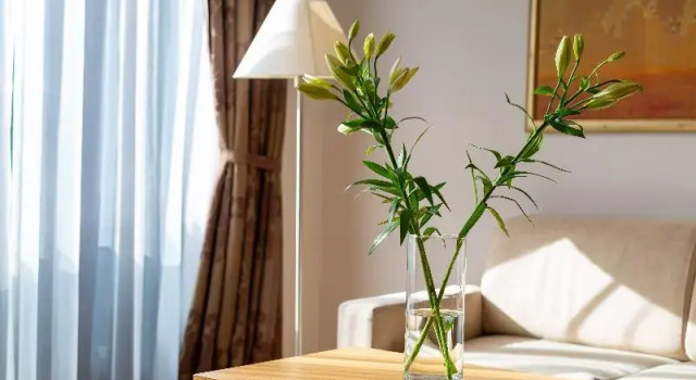 Номер Standard Euterpe Hotel