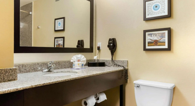 Номер Standard Comfort Inn & Suites Amarillo East