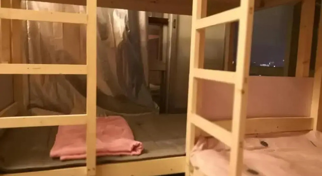Best Cat Hostel