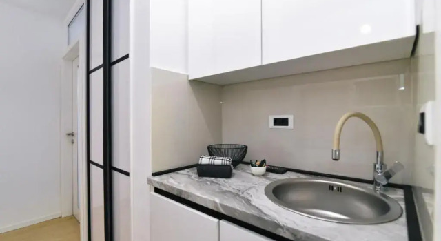 Апартаменты Studio Apartman Dream