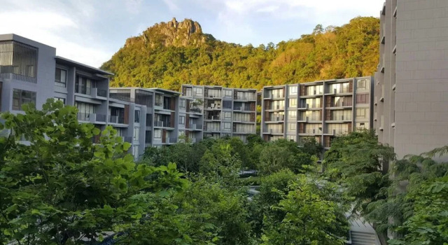 The Valley Khaoyai by NPP