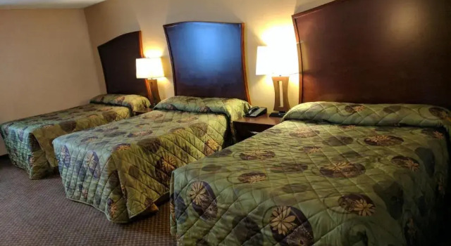 Семейный номер Standard Luxury Inn