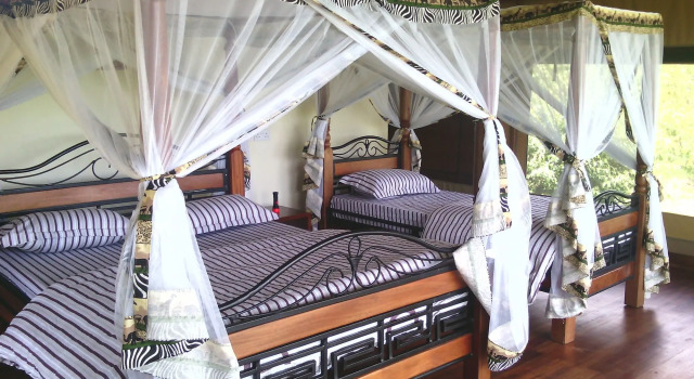 Simba & Oryx Nature Camp, Buchen Sie Campingplatz Camping & Glamping in Masai Mara, Campingplatz