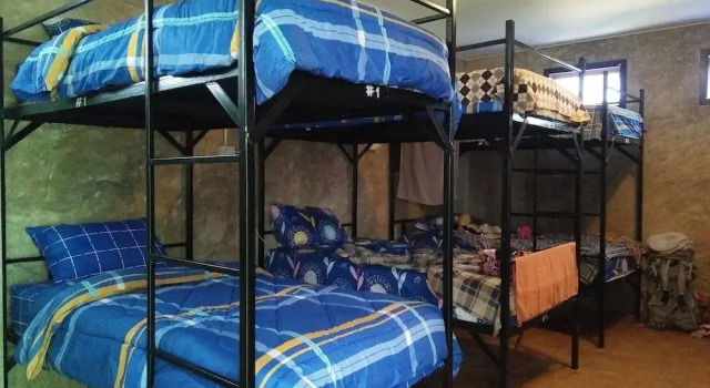 Кровать в общем номере Happy House Backpackers