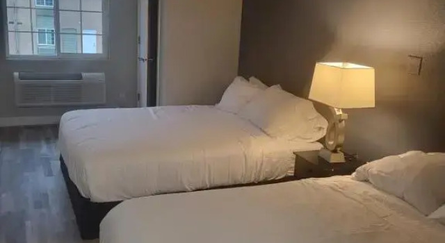 Standard Zimmer Red Fox Inn and Suites