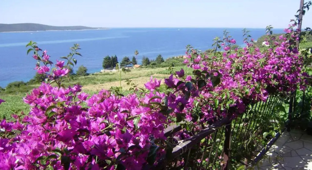 Apartment Lenka, Prenota Appartamento Hotel a Croatian Islands con parcheggio, Parcheggio