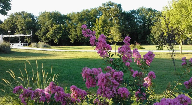 Casale San Germano, Забронировать Отель Отели Лацио с завтраком, Завтраки