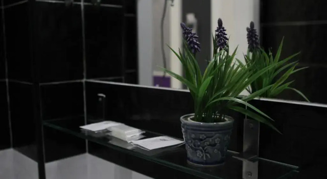 Номер Economy Hostal Madrid Star
