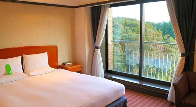 Номер Deluxe International Garden Hotel Narita