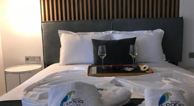 Двухместный номер Deluxe с видом на море Hotel Papagalos