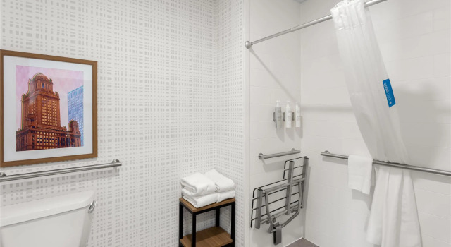 Номер Standard Hampton Inn & Suites Chicago Deer Park