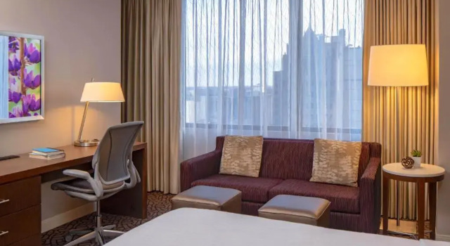 Двухместный гостевой номер с диваном-кроватью Deluxe Hilton Garden Inn Downtown Dallas