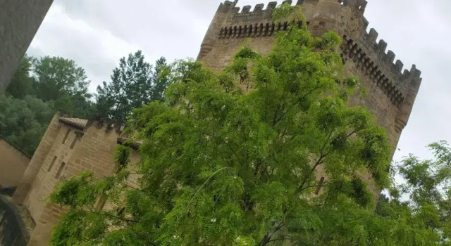 Apartamentos Antonia, Prenota Appartamento Hotel a La Rioja con parcheggio, Parcheggio